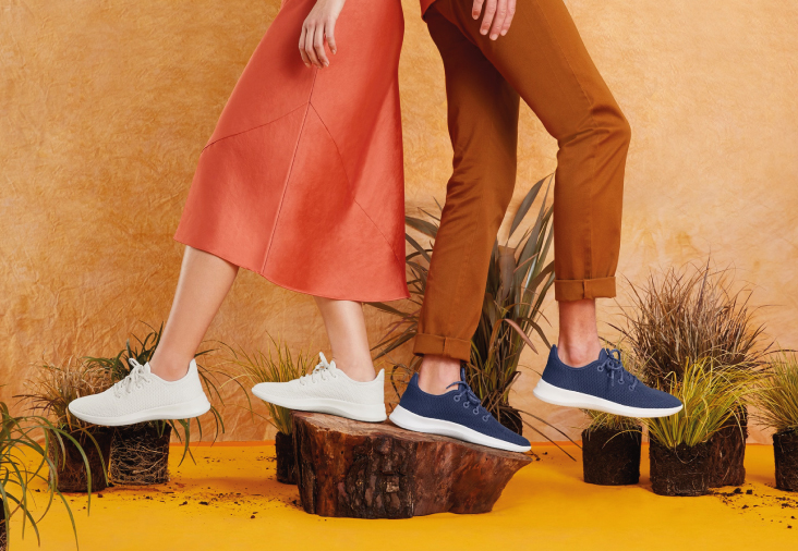 Allbirds - Comfortable Footwear Made with Natural Materials like Eucalyptus