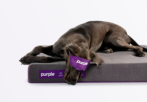 purple-bed